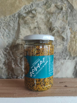 SENAPE in GRANI