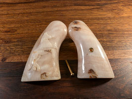 Ram Horn with carved Colt Ponny / Schafs Horn mit Colt Ponny