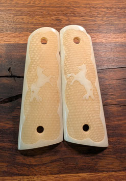 Büffel Knochen / Buffalo Bone