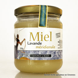 Miel de Lavande méridionale