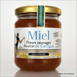 Miel de fleurs sauvages "Miellat de Garrigue"