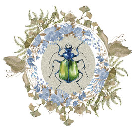carte insecte scarabée vert , couronne de fleurs bleues et feuilles