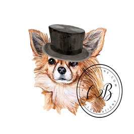 Monsieur chien chihuahua au chapeau noir