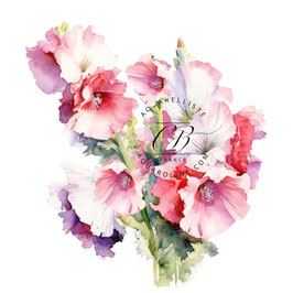 Rose trémiaire