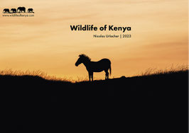 Wildlife of Kenya 2023 Calendar