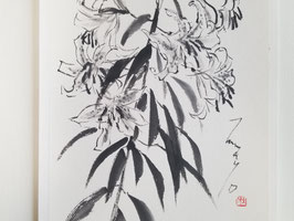 Lily, Framed Sumi-e Painting, Japanese Ink Art