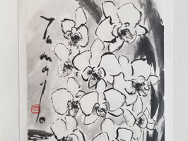 Phalaenopsis Orchid, Framed Sumi-e Painting, Japanese Ink Art