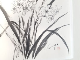 Daffodil, Framed Sumi-e Painting, Japanese Ink Art