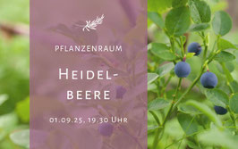 Pflanzenraum Heidelbeere