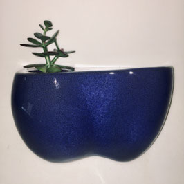 Planten-schabbetje