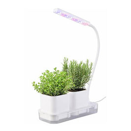Mini Gewächshaus "LED"