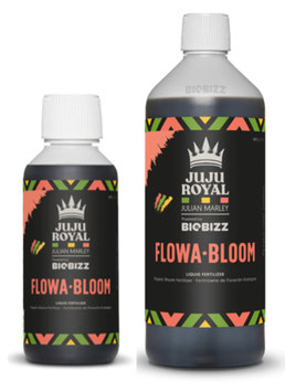 JuJu Royal Flowa Bloom