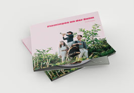 GSCHREAMS | Flamingos an der Sulm (CD)