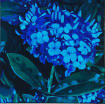 Blue Flower