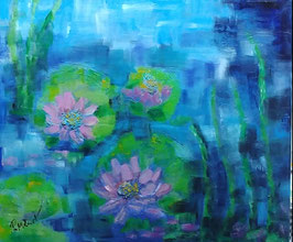 "Nymphaea" Seerosen I