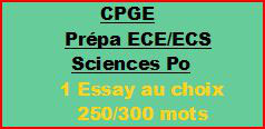 Cours à distance : 1 essay de 250/300 mots pour CPGE/ECE/ECS ou Sciences Po