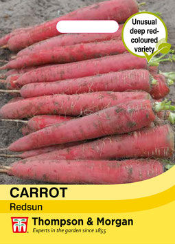 Carrot 'Redsun'