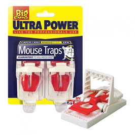 Big Cheese Mouse Traps