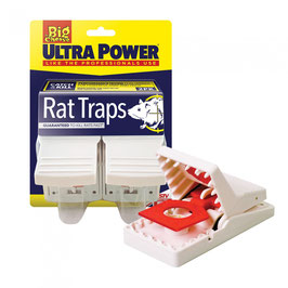 Big Cheese Rat Traps