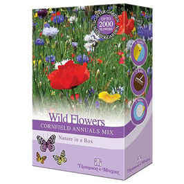 Wildflowers 'Cornfield Annuals Mix'