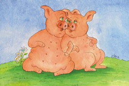 Zwei Schweine