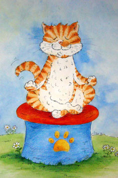 Massimo die Yoga Katze