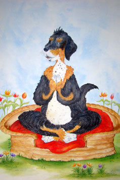 Yoga Hund