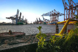 Hafen  /  1009