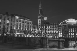 Hamburger Rathaus  SW  /  1331