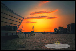 Dockland  /  1495
