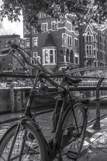 Fahrrad  SW  /   2542