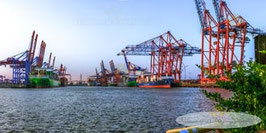 Hafen  /  2459  /  2:1