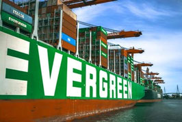 Evergreen  /  2830