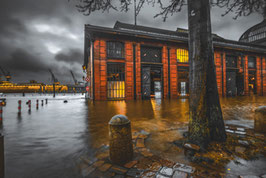 Fischauktionshalle  BC  /  2326