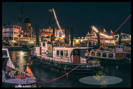 Museumshafen  / 1359