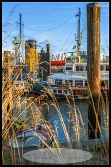 Museumshafen  HF /  2559