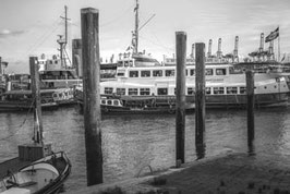 Museumshafen  SW /  2019