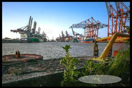 Hafen  /  1009