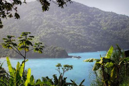 Tobago Panorama   /  123