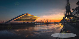 Dockland   /  2028   /  2:1