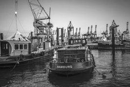 Museumshafen  SW  /  2239