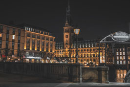 Hamburger Rathaus  BC  /  1889
