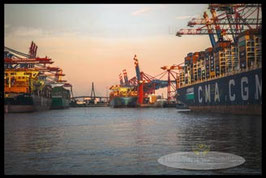 Hafen   /   2135