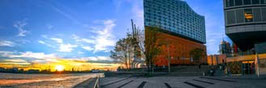 Elphi  / 1318  /  3:1