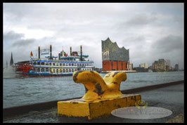 Hafen  /  2699