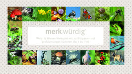 merkwürdig | Wald & Wiese