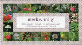 merkwürdig | Blüte & Frucht