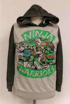 Hoodie Turtles