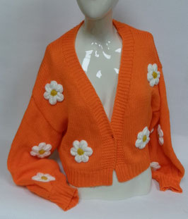 Korte trui met bloemen Shein