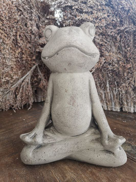 meditierender Frosch